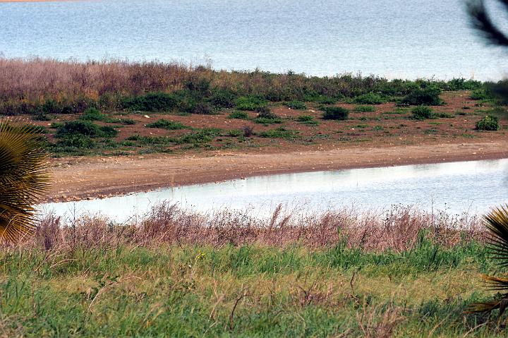 Biviere di Lentini 23.1.2011 (192).jpg